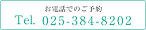 電話025-384-8202